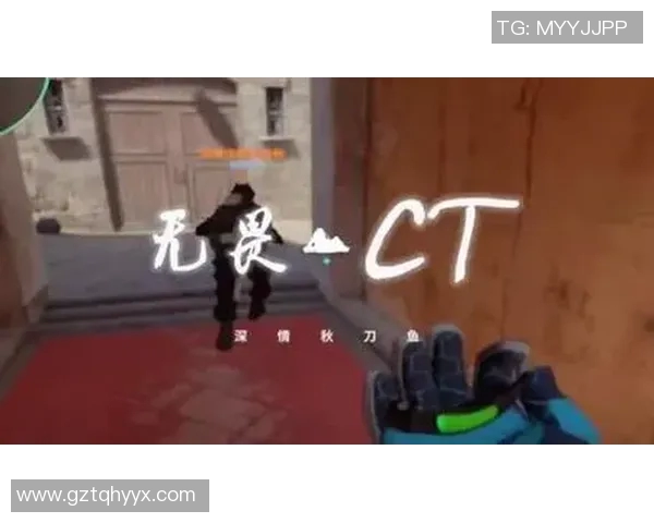 csgo比赛官方解说-官方解说在CSGO比赛中的魅力展现-csgo比赛官方解说